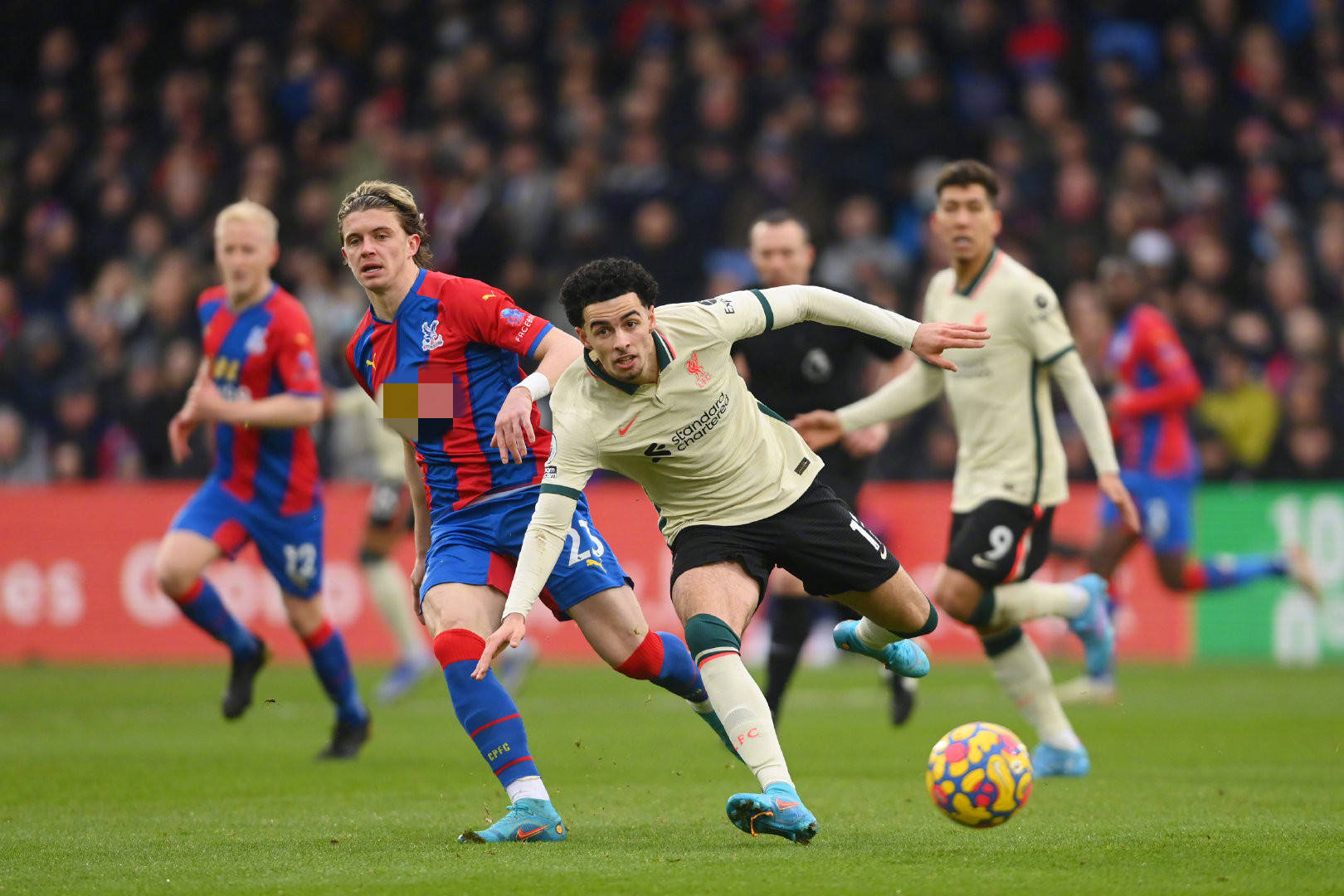 仅赢得了教 仅赢得了教